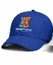 blue hat.webp