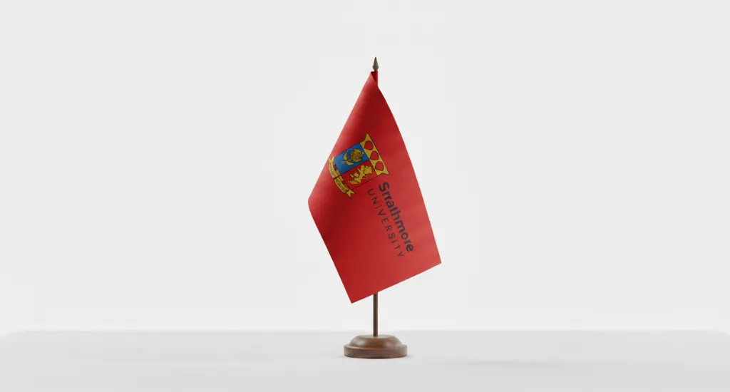 Red Flag.webp