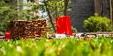 DKK_6523.webp