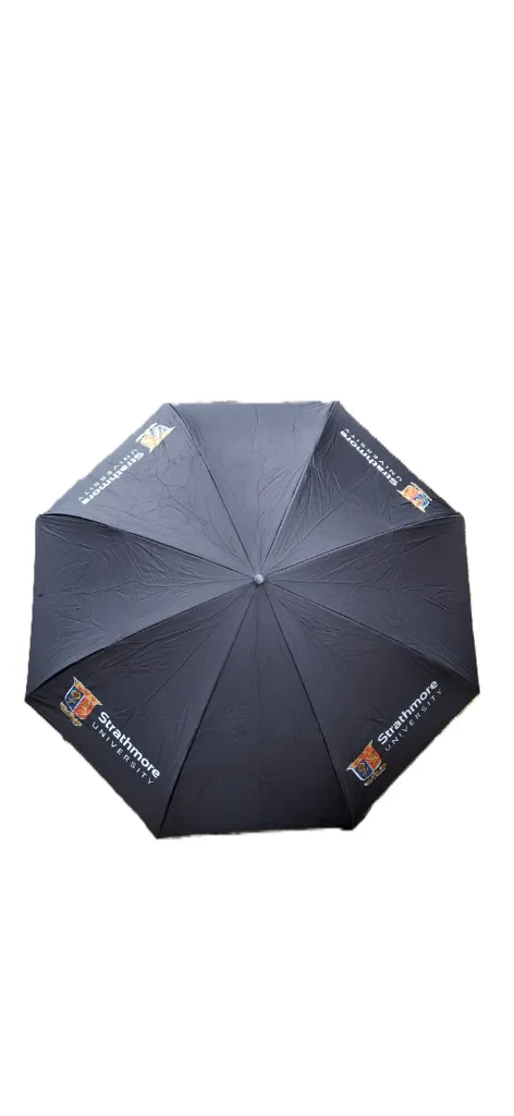 Black Umbrella.webp