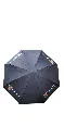 Black Umbrella.webp