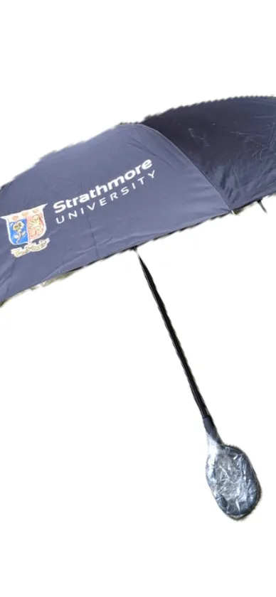 Holder Rack Umbrella.webp
