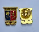 Alumni Lapel.webp