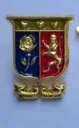 Alumni lapel 2.webp
