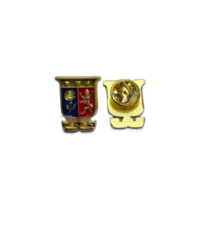 Alumn pins.webp
