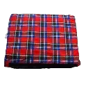 Picnic 3.webp