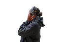 headphones side.webp