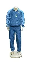 sport Trck.webp