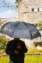 DSC_3620.webp