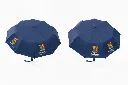 Blue mini.webp