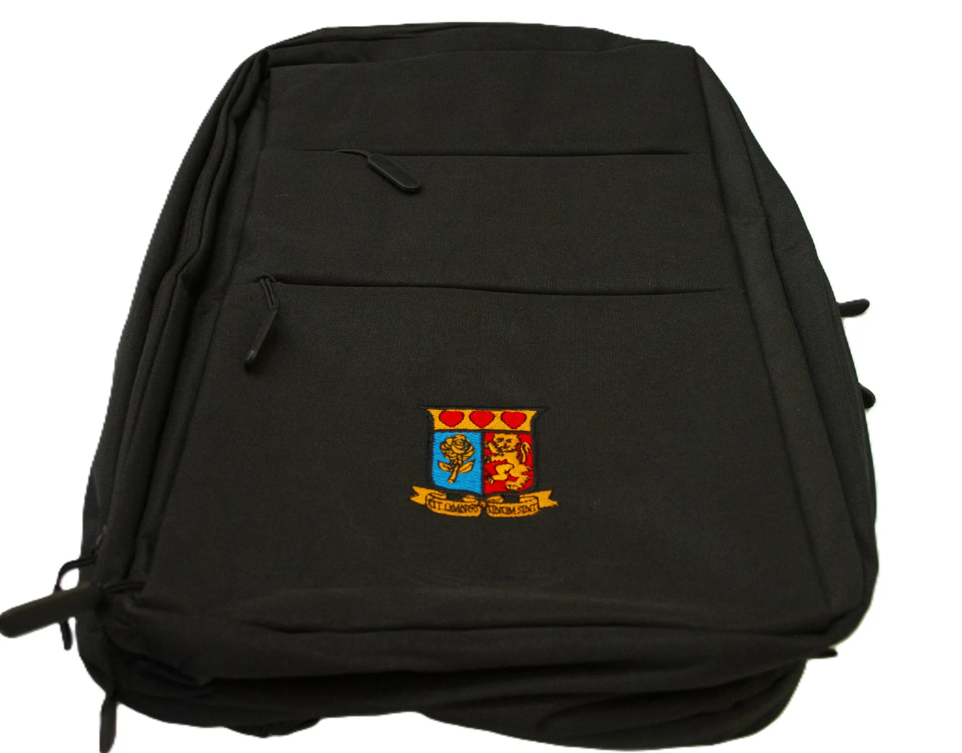 Back Laptop Bag (Black)