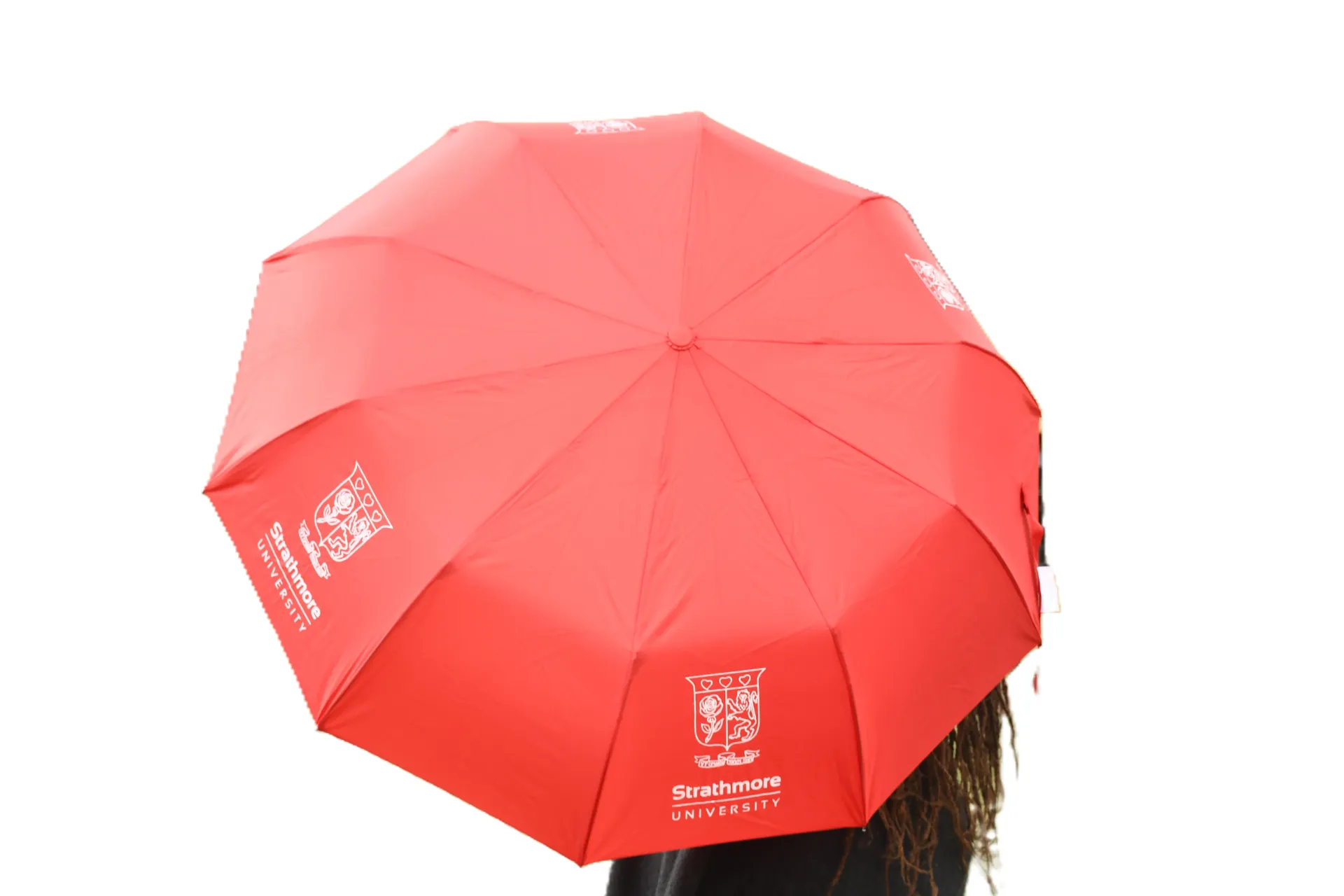 Big Umbrella